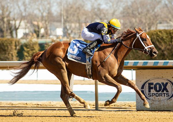 Paradise, Kentucky Oaks, Churchill Downs, horse racing, America's Best Racing, ABR